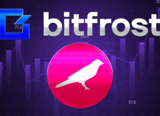 Bitfrost: A Flexible Project Built Over Kusama