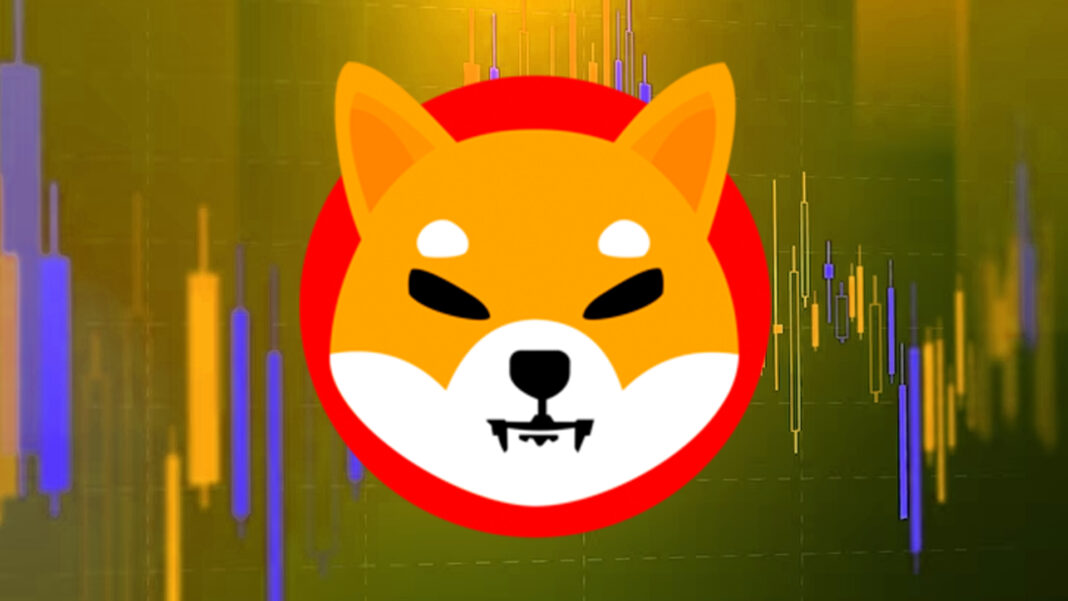 Shiba Inu Coin Detail info and prediction