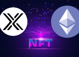 Immutable X:- A leading Ethereum Based NFT Exchange Platform