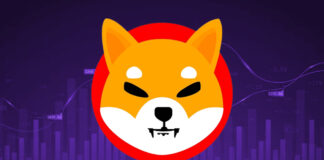 Shiba Inu Coin Detail info and prediction