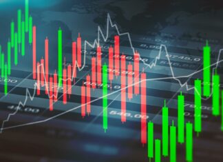 Top 3 Growth Stocks To Look Out For Bumper Returns In 2024