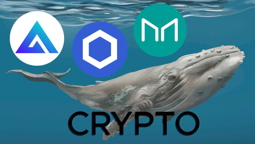 Crypto Why Do Crypto Whales Focus on These Three Altcoins? Whales