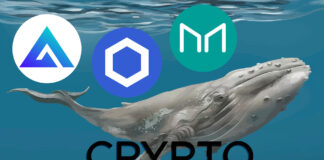 Crypto Why Do Crypto Whales Focus on These Three Altcoins? Whales