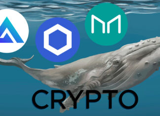 Crypto Why Do Crypto Whales Focus on These Three Altcoins? Whales