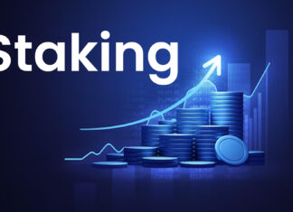 Staking Vs. Traditional Investments: Difference Between Them? 