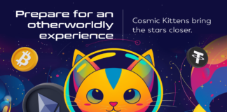 Cosmic Kittens