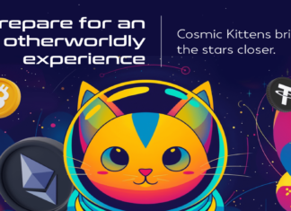 Cosmic Kittens